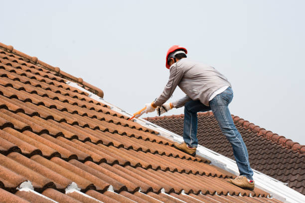 Best Hot Roofs  in Huntley, IL